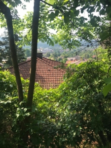 IMG-20210623-WA0072