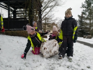 IMG-20210116-WA0017