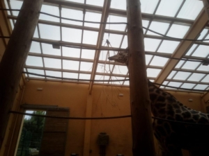 IMG-20210623-WA0005