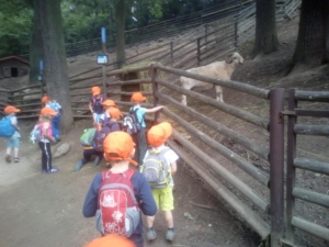 IMG-20210623-WA0025