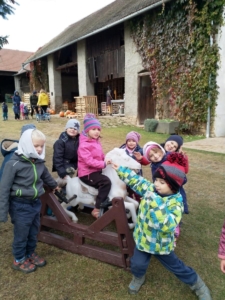 IMG-20211107-WA0005
