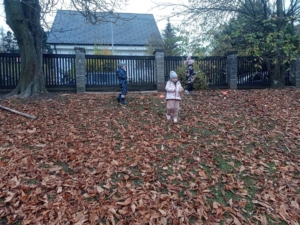 IMG 20231110 105525