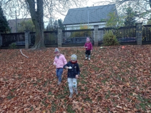 IMG 20231110 105724