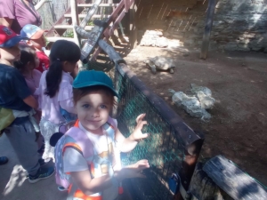 IMG 20240523 103147