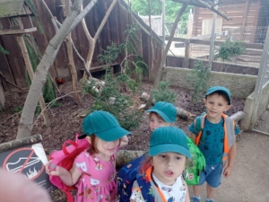 IMG 20240523 105358