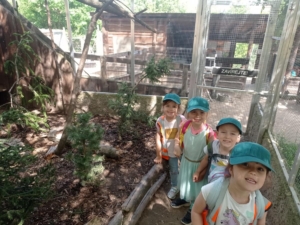 IMG 20240523 105622